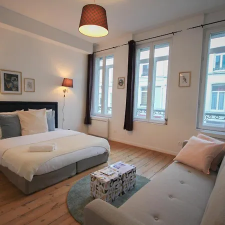 Centre - Nice, Cozy And Functional * Lille