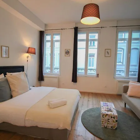 Centre - Nice, Cozy And Functional Lille